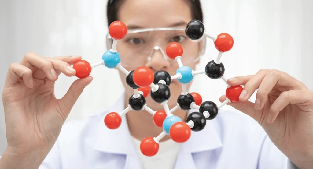 Profesional de laboratorio sosteniendo modelo molecular representando la molécula de NAD+ y su relación con la longevidad