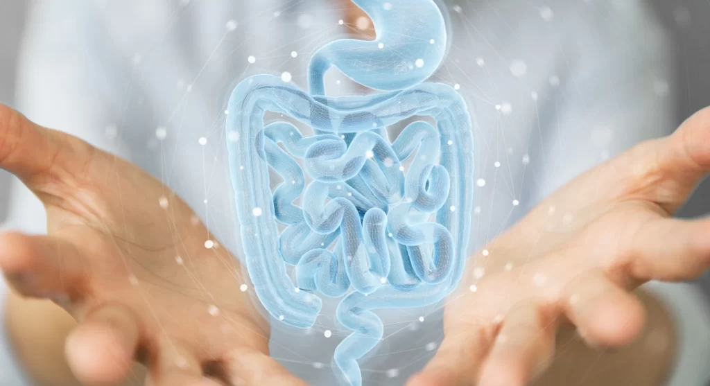 Representación del microbioma intestinal y su relación con el sistema inmune y el eje intestino-cerebro